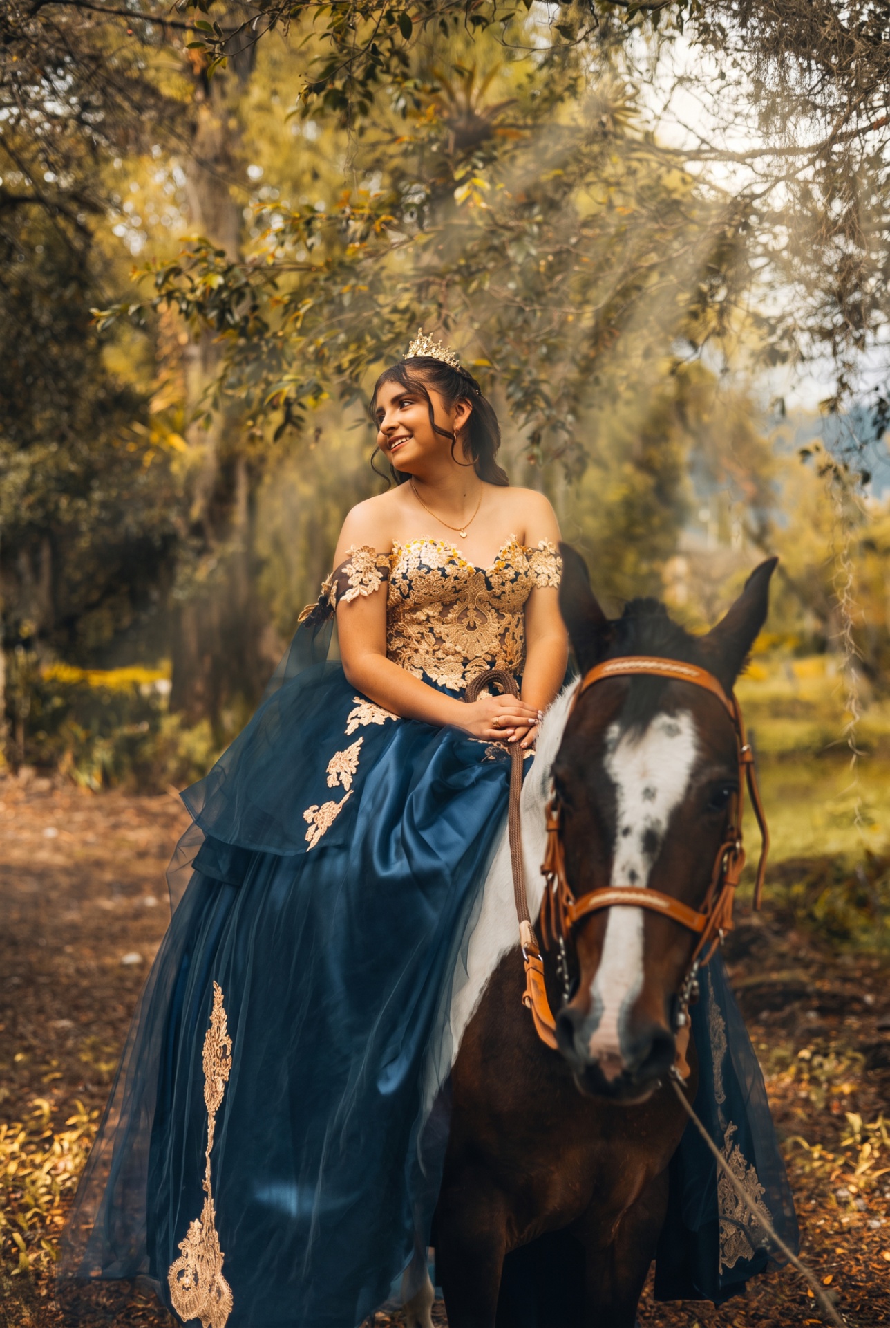 Quinceaños Premium